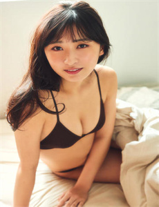 泰迪熊