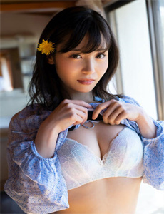 笨贼妙探